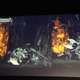 Illustration for article titled Dantes Inferno Dated For February 2010